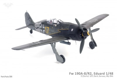 2019-003-005 Fw 190A-8R2 Eduard 148.jpg